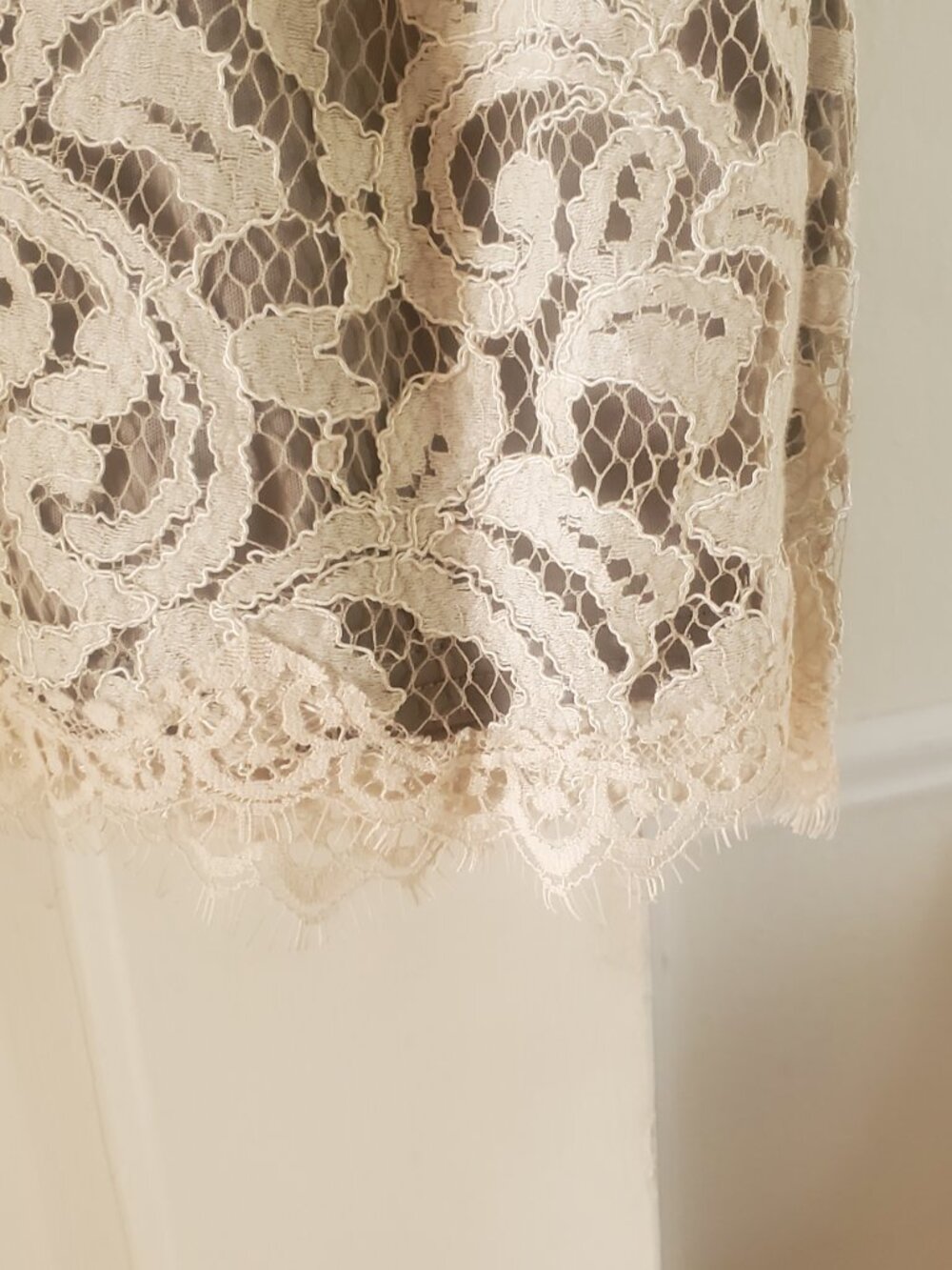 Tadashi Shoji Lace V-Neck Figure-Flattering Sheath Dress | Size 6 - Picture 8 of 10